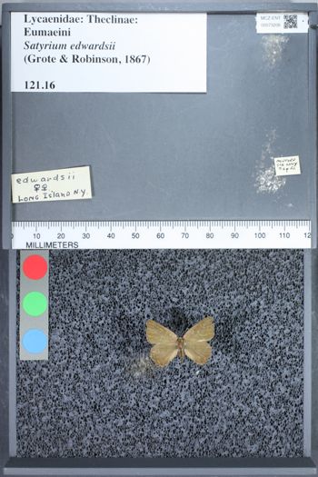 Media type: image;   Entomology 73206